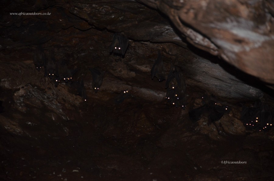 Bat caves in Kenya